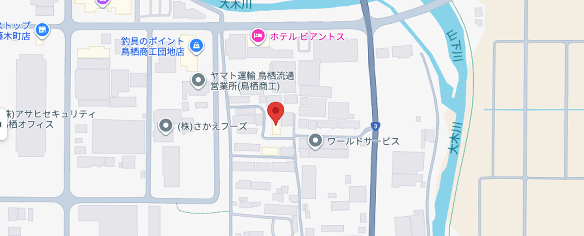 Company Info